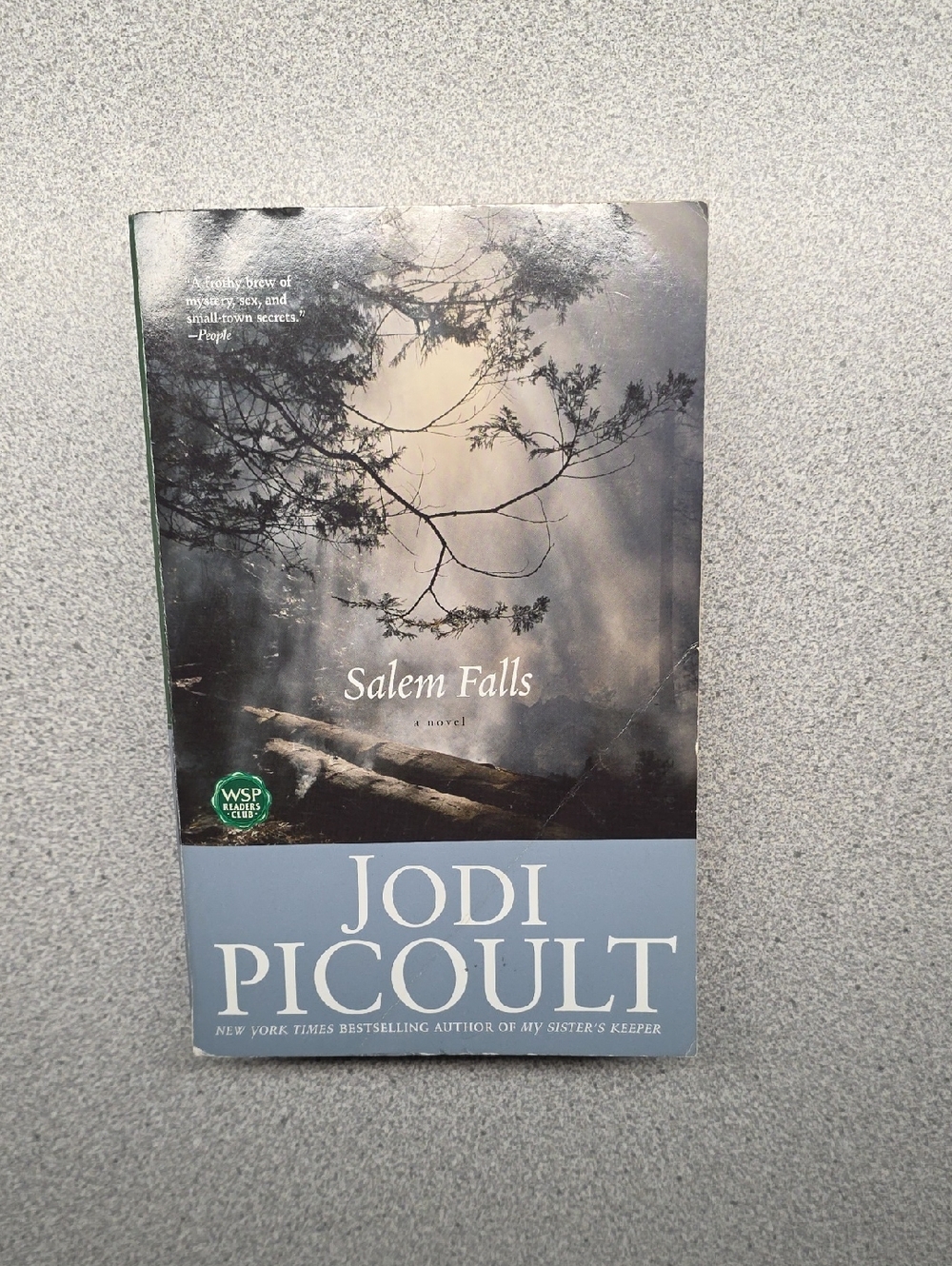 Salem Falls by Jodi Picoult